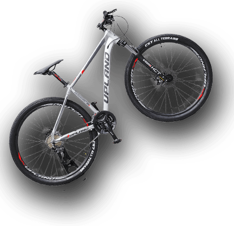 Upland VANGUARD 200 - 29", цвет серый