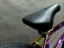 EasyRider 20" CHAMELEON фото 4